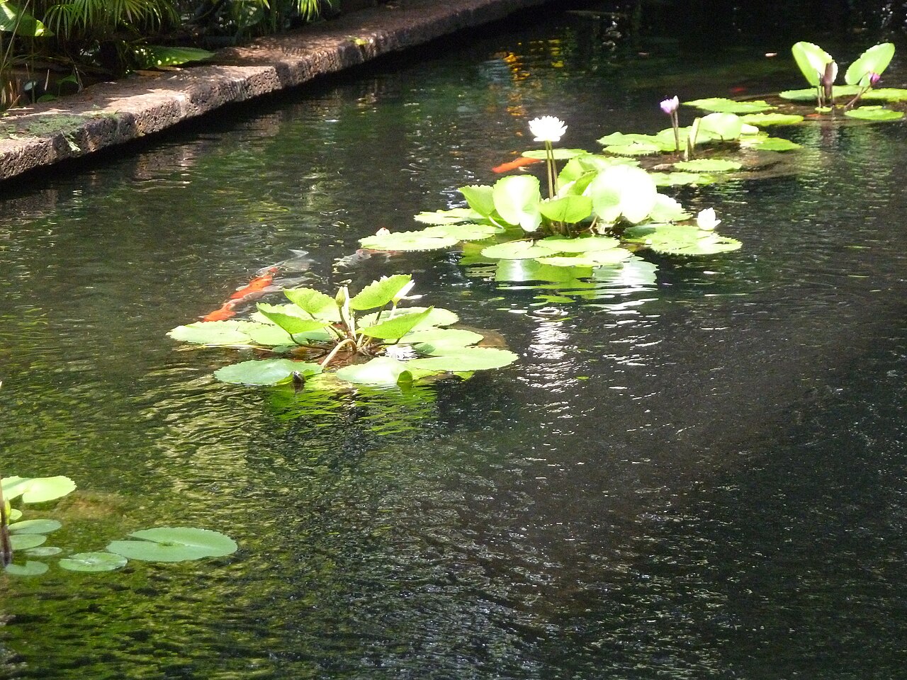 Jim Thompson House Museum, Thailand